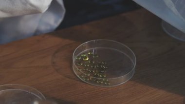 Bulanık bir arka planda, şeffaf bir tüpte sıvı bulunan bir bardağın yakın çekim görüntüsü.