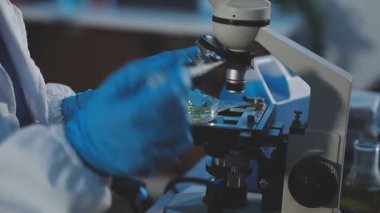 Laboratuvarda mikroskop tutan bilim adamı