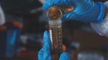 Laboratuvarda deney tüpü ve matarayla koruyucu eldivenler giyen bilim adamı..