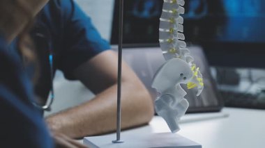 Omurga modeli olan insan iskeleti klinikte bilgisayarda çalışıyor, yakın plan.