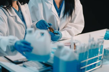 Araştırma, deney ve tıbbi deney laboratuvarda, bilim tesisinde ya da hastanede bir bilim adamı tarafından yapılıyor. Bir genç, ciddi ve profesyonel araştırmacı bir keşif yapıyor, düzenliyor ya da düzenliyor.