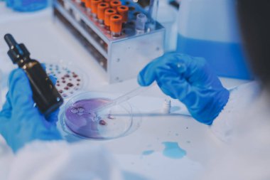 Araştırma, deney ve tıbbi deney laboratuvarda, bilim tesisinde ya da hastanede bir bilim adamı tarafından yapılıyor. Bir genç, ciddi ve profesyonel araştırmacı bir keşif yapıyor, düzenliyor ya da düzenliyor.