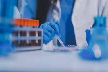 Araştırma, deney ve tıbbi deney laboratuvarda, bilim tesisinde ya da hastanede bir bilim adamı tarafından yapılıyor. Bir genç, ciddi ve profesyonel araştırmacı bir keşif yapıyor, düzenliyor ya da düzenliyor.