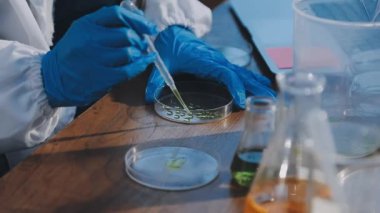 Bilim adamı bir test örneğiyle çalışıyor.