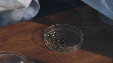 Pipetle tüp tutan bir bilim adamının yakın görüntüsü.