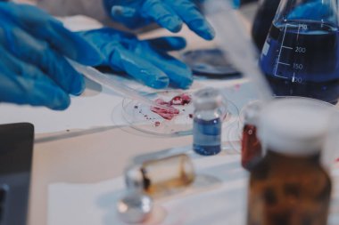 Mikroskopları, test tüpleri ve diğer laboratuvar ekipmanlarıyla Modern Boş Bilim Laboratuvarı