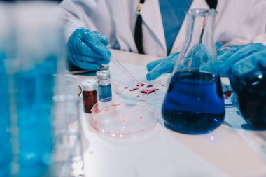 Mikroskopları, test tüpleri ve diğer laboratuvar ekipmanlarıyla Modern Boş Bilim Laboratuvarı