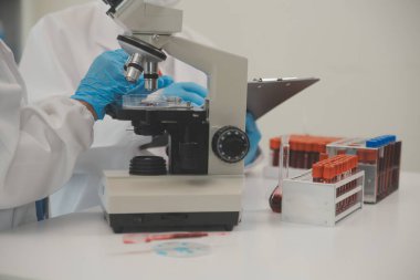 Yaşam bilimi laboratuvarında çalışan sağlık araştırmacıları. Araştırma laboratuarında mikroskop hazırlayan ve analiz eden genç kadın araştırmacı ve kıdemli erkek denetmen..