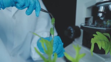 Laboratuvarda deney tüpleri olan bir bilim adamı.