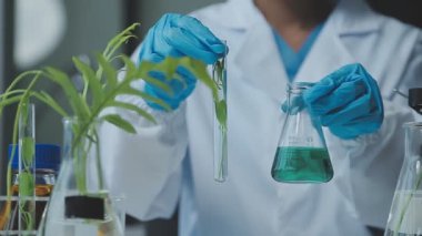 Laboratuvar bilimadamı laboratuarda test tüpü tutuyor.