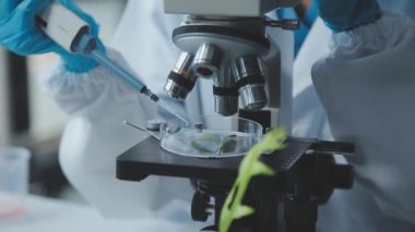 Laboratuvarda çalışan bilim adamının yakın görüntüsü.