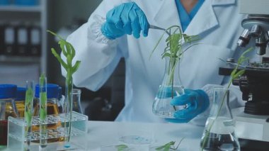 Laboratuvarda mikroskoba bakan koruyucu eldivenler giyen bilim adamı.