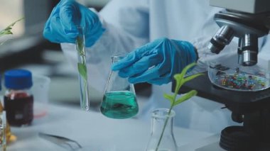 Mikroskopla çalışan bir laboratuar bilimcisi..