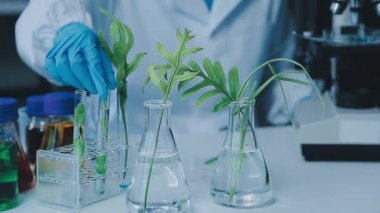 Laboratuvar ve bilimsel araştırma konsepti üzerinde çalışan bilim adamları