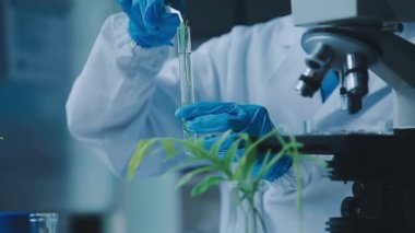 Laboratuvarda mikroskop ve test tüpleriyle çalışan bilim adamı.