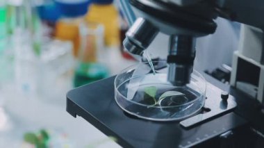 Mikroskobun laboratuvar araştırması ve geliştirilmesi.