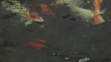 Metin için alanı olan soyut arkaplan