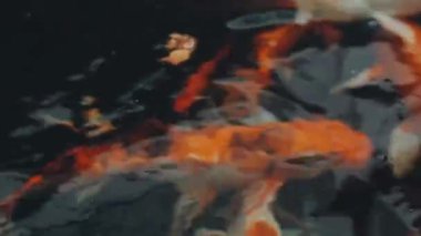 Bokeh efektli soyut arkaplan