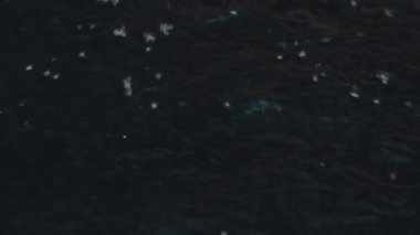 arkaplan deseni, soyut desen, siyah renk