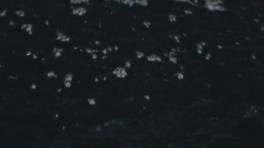 siyah ve beyaz arkaplan