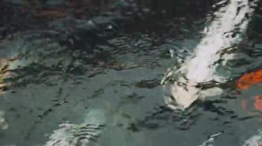 Soyut doku arkaplanı, suyun yüzeyinin çizimi