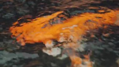 Bokeh odaklanmış ışıklarla soyut arkaplan