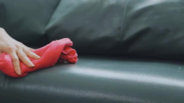 Perto Mãos Mulher Segurando Frasco Spray Conceito Limpeza — Vídeo de Stock