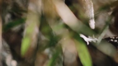 Soyut arkaplan. Renkli doku. soyut desen.