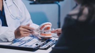 Diş hekiminde diş modelini tutan dişçi..