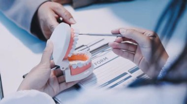 Diş hekimindeki dişçiye bir model diş gösteriyor.