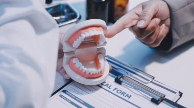 Diş sağlığı kliniğinde diş modelini tutan dişçi.,