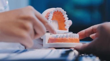 Diş sağlığı kliniğinde diş modelini tutan bir modelin ellerini kapatın.