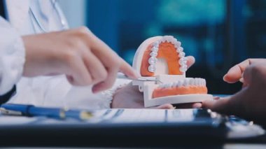 Diş modelinin maketi üzerinde çalışan dişçi ellerini kapatın.
