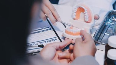 dişçi diş modeli tutuyor