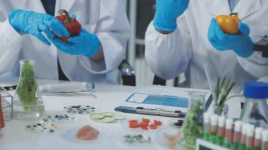 Laboratuvar bilim adamı organik besinleri test ediyor