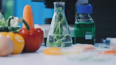 Sebze yapma süreci..