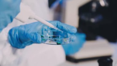 laboratuarda çalışan bilim adamı