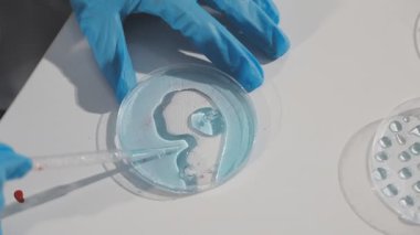 Laboratuvar ekipmanları. Laboratuvar. konsept.