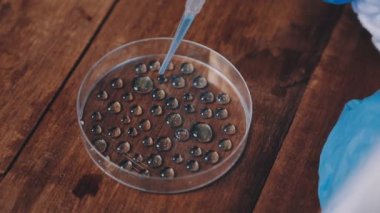 Su filtresini tutan el..