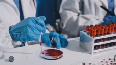 Laboratuvarda kan örnekleriyle çalışan bir bilim adamı. Bilim ve teknoloji