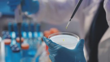 Laboratuvar çalışanı test tüplerini elinde tutuyor..