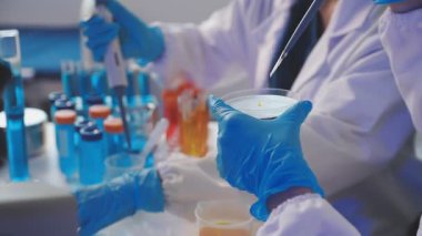 Laboratuvarda deney tüpünü sıvı ile tutan bilim adamının yakın görüntüsü.