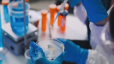 Laboratuvar çalışanı elinde bir sıvıyla bir tüp tutuyor..