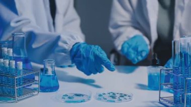 Mavi eldivenli laboratuvar asistanı.