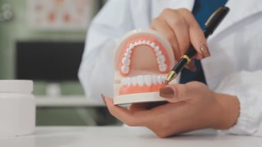 Dişçinin elinde dişleri var.