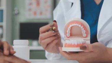 Diş modelinin diş modelini gösteren dişçinin yakın görüntüsü. Diş sağlığı kliniği, diş sağlığı kliniği, stomatoloji konsepti.