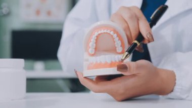 Kadın doktorun diş modelini tuttuğu yakın plan.