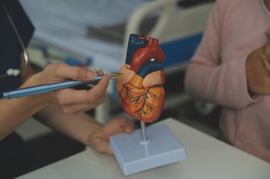 Doktor iç organlarını 3 boyutlu insan modelinde gösteriyor. Laboratuvar önlüklü bir kadın masada dizüstü bilgisayarla oturup insan anatomisi hakkında konuşuyor. Sağlık ve tıp eğitimi kavramı. fotoğraf