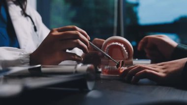 dişçi diş modeli tutuyor