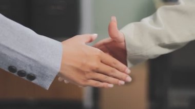 İş kadını el sıkışıyor, iş adamı.